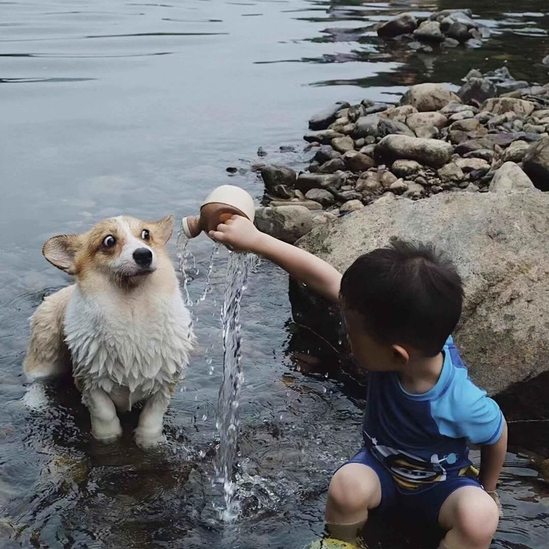 赵