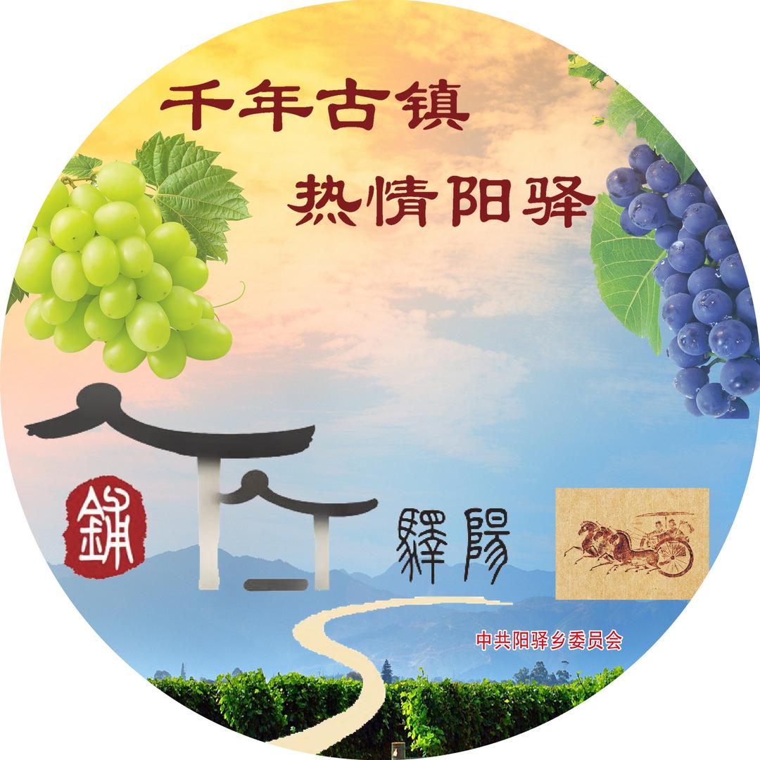 果蔬之乡——多彩阳驿