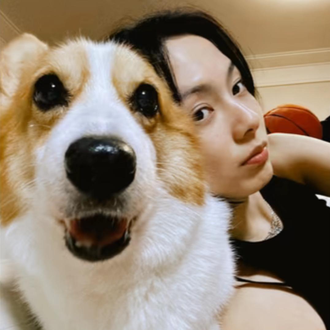 吃了迈