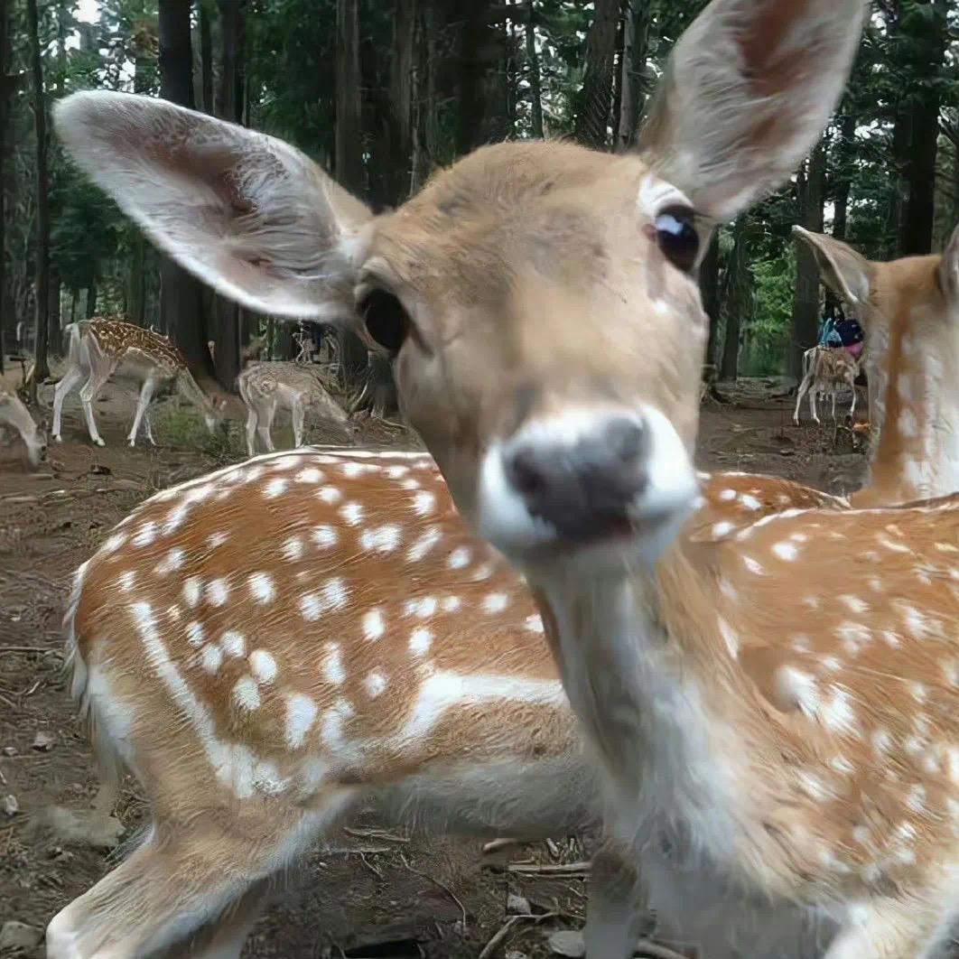 赵灿明
