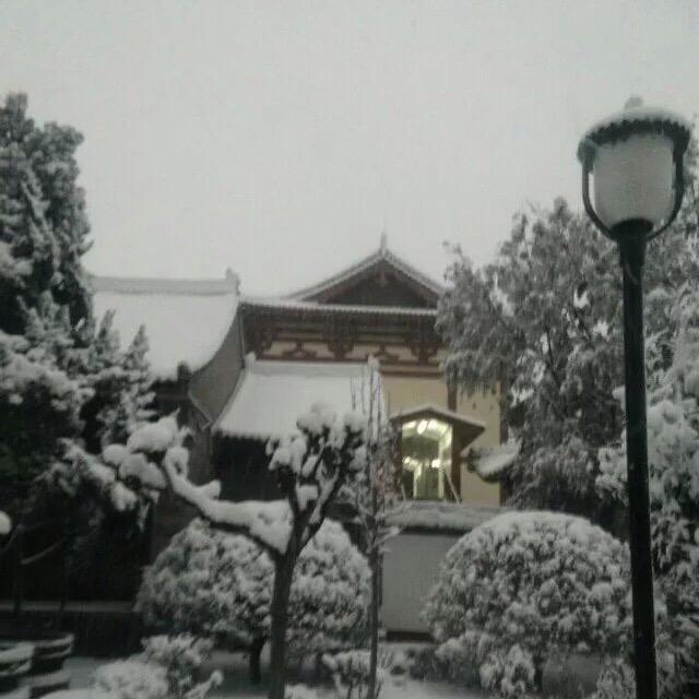 靚姐