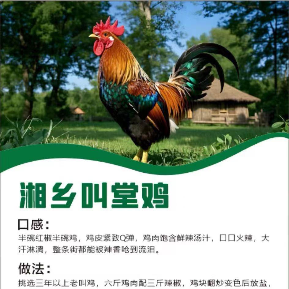 长沙鸡王-湘乡叫堂鸡-地摊烧烤