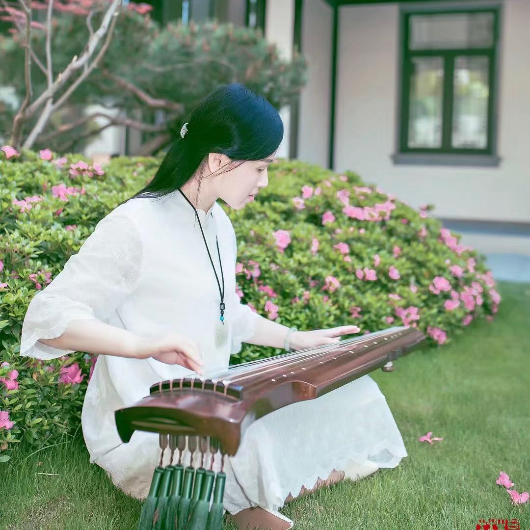 徽青號—茶小任