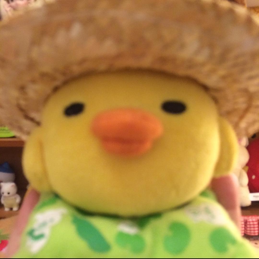 比一一