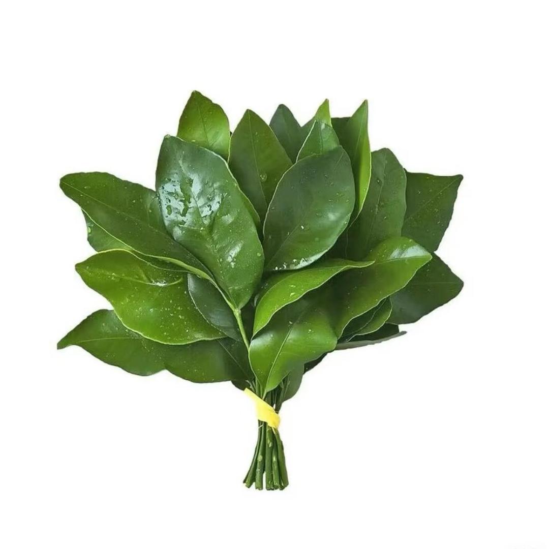 小老虎