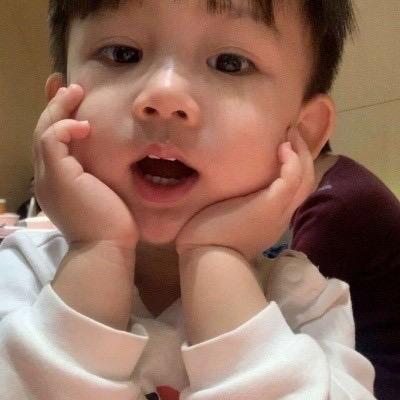 努力奋斗的猪猪