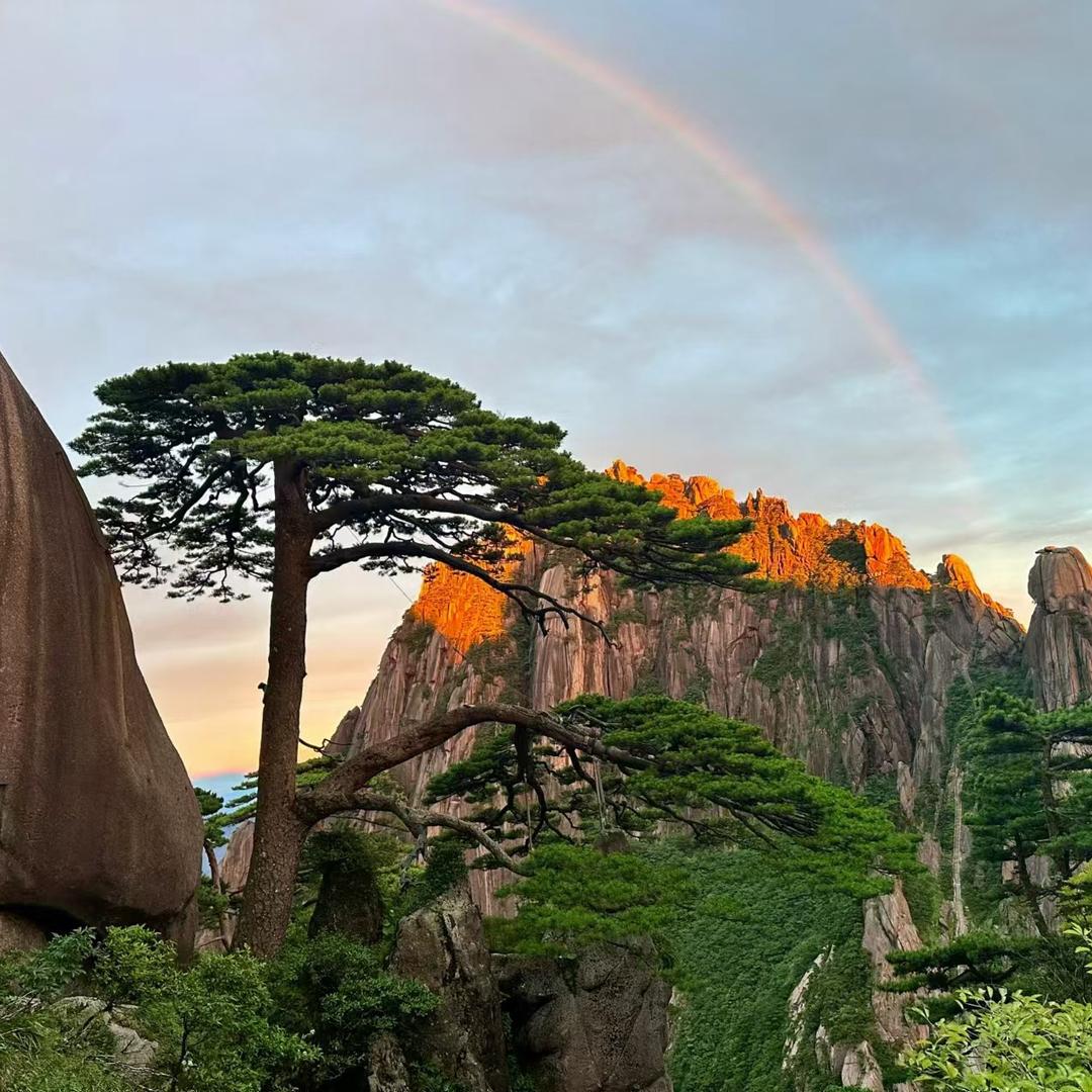 知人知面不知心