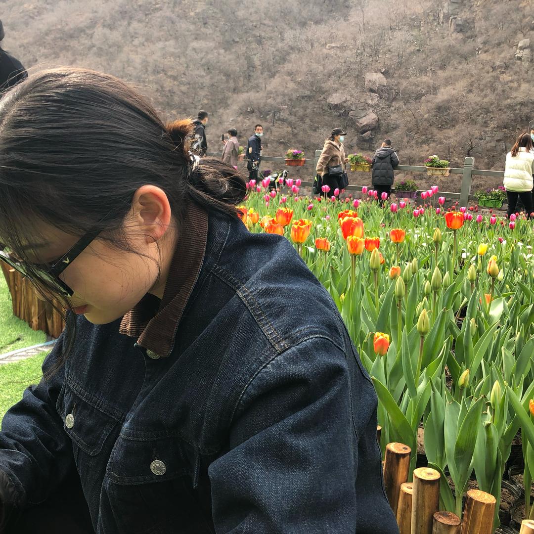 西瓜的西西