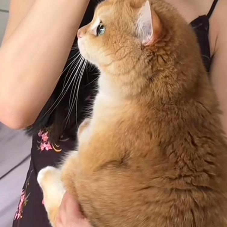 婷婷有钱花
