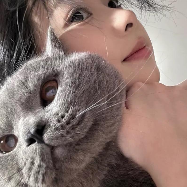 愿安.🐾