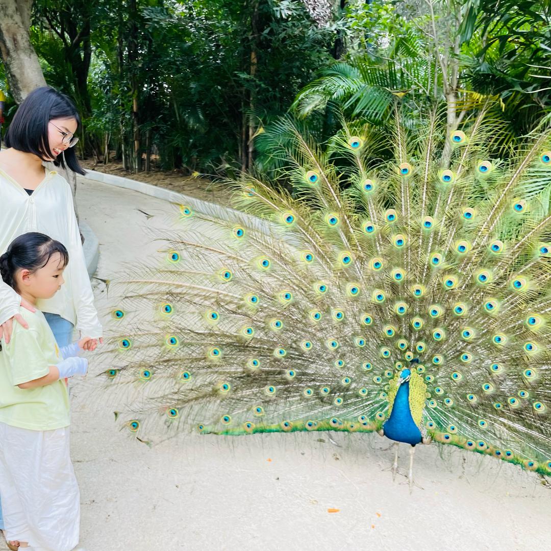 长空万里雪飘❄️(｡･ω･｡)❄️