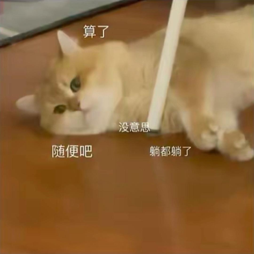 星諭