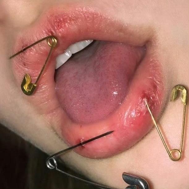 •ɷ•