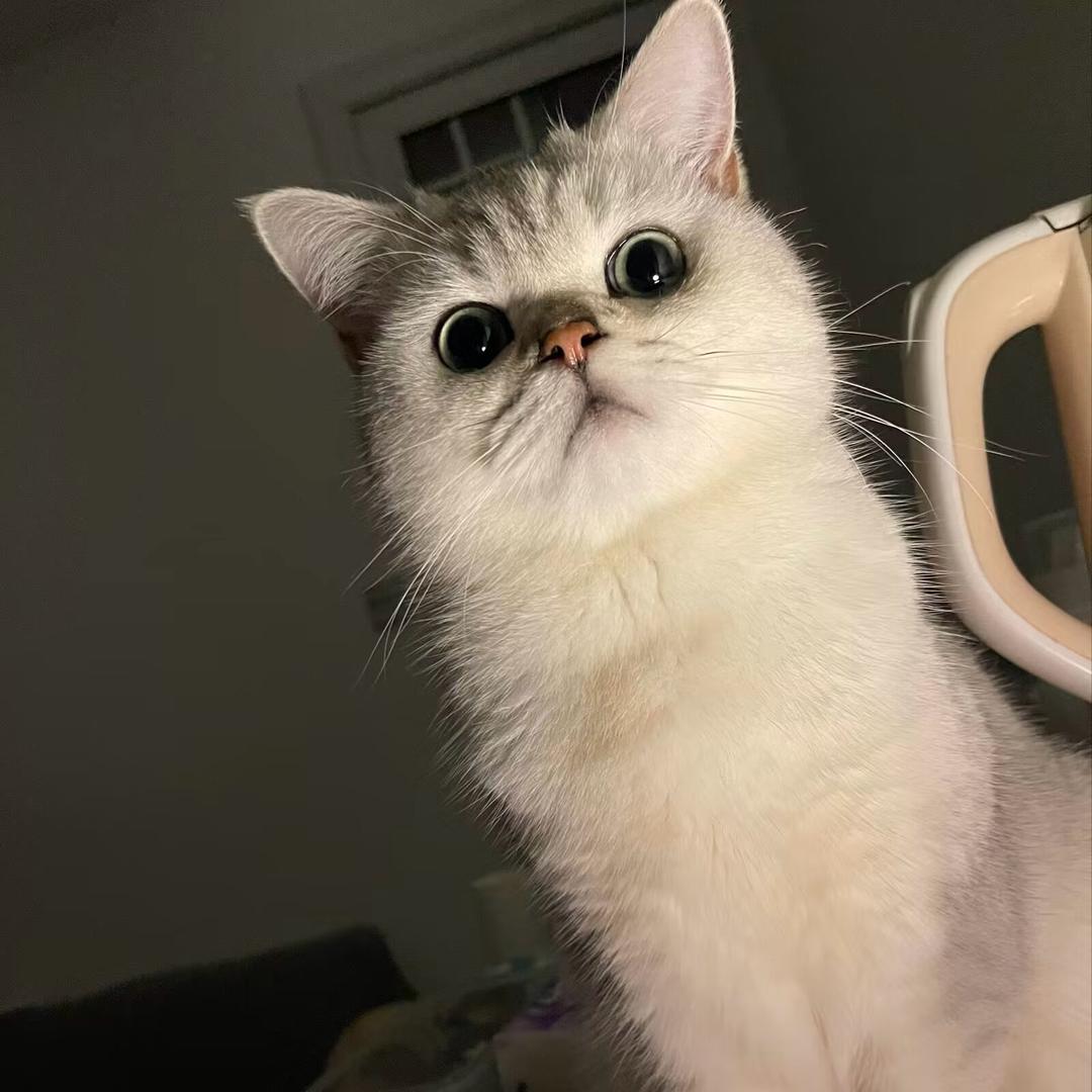 Bbbbbbx