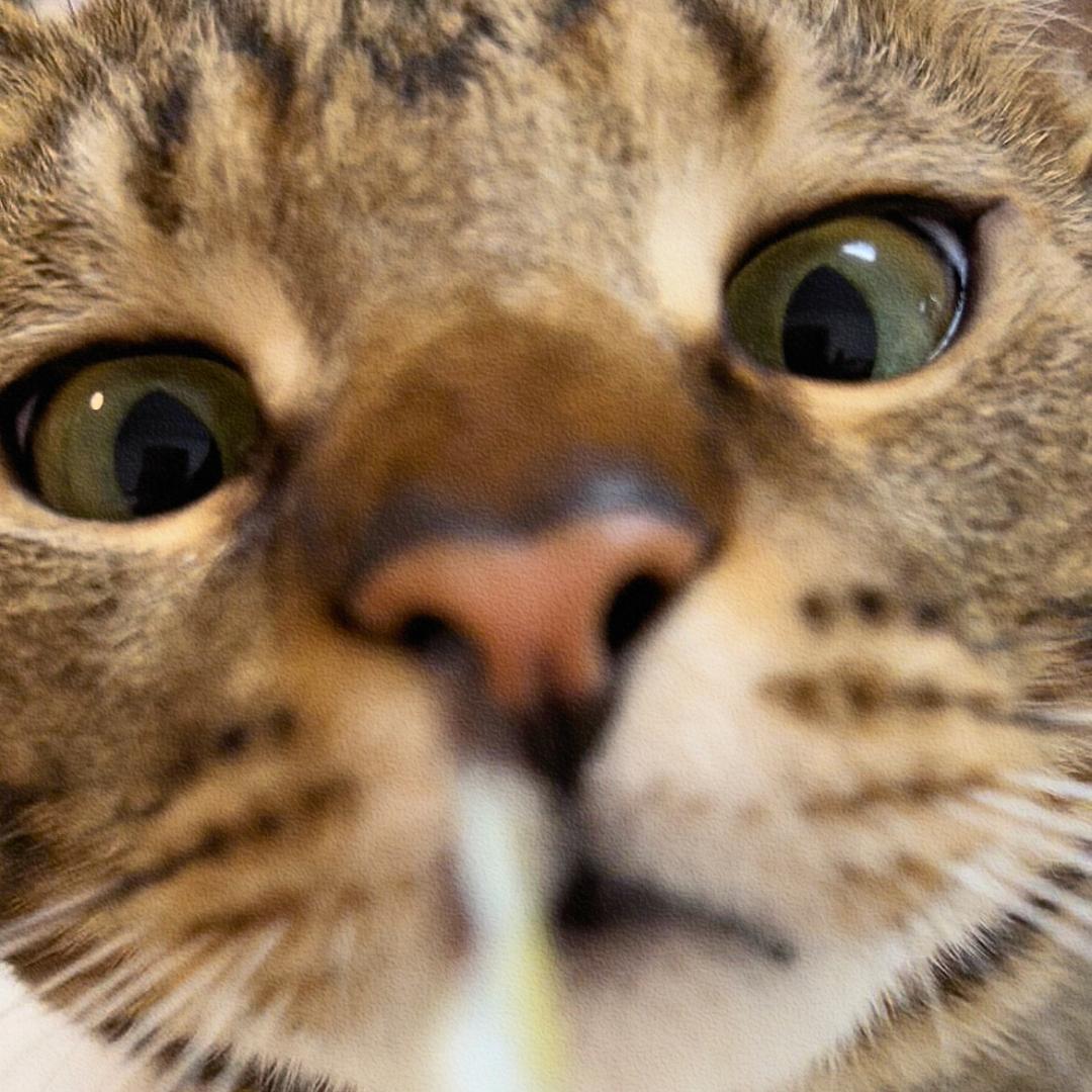 糖仔和茶仔