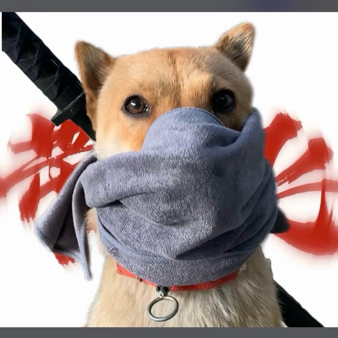 三风