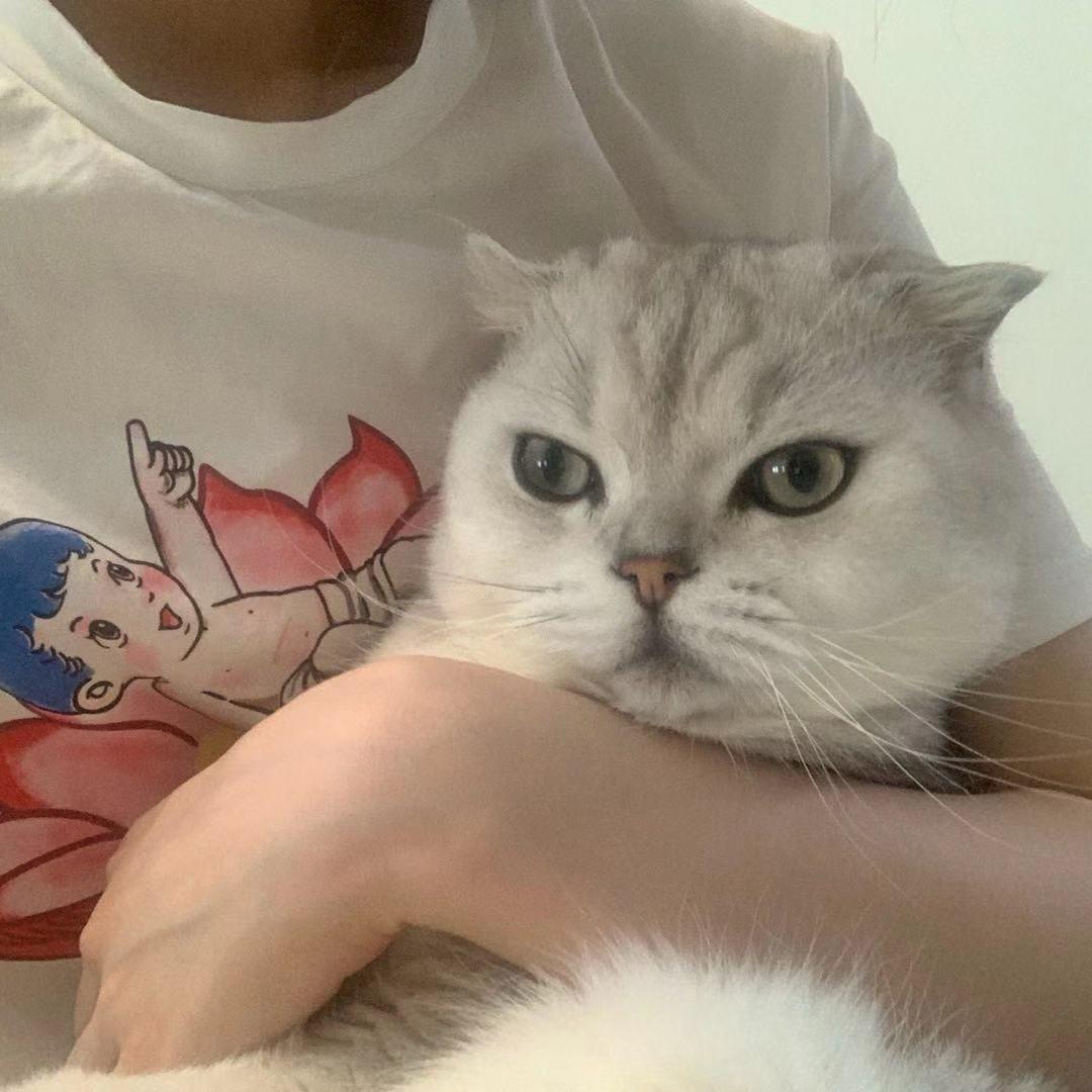 👊