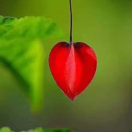 德州古玩艺术品一线直播