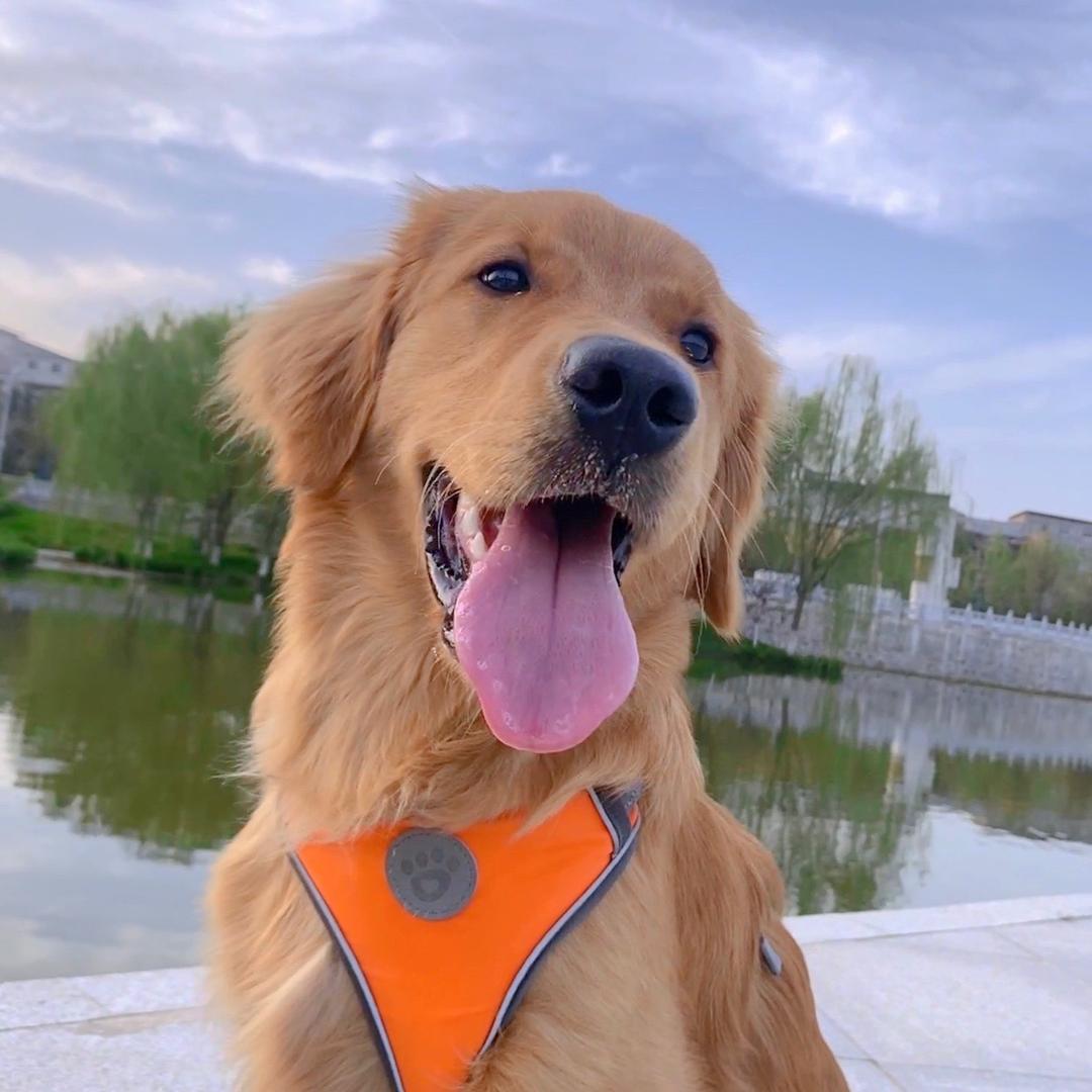 十一弟弟🐶