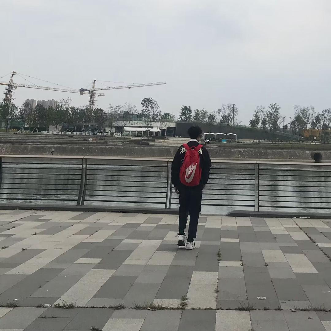 小飞象