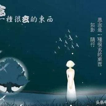 留念青春