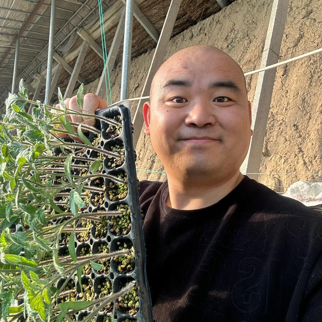 寿光市正东种业有限公司