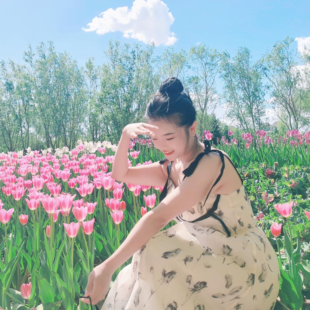 月亮上的垂耳兔☆