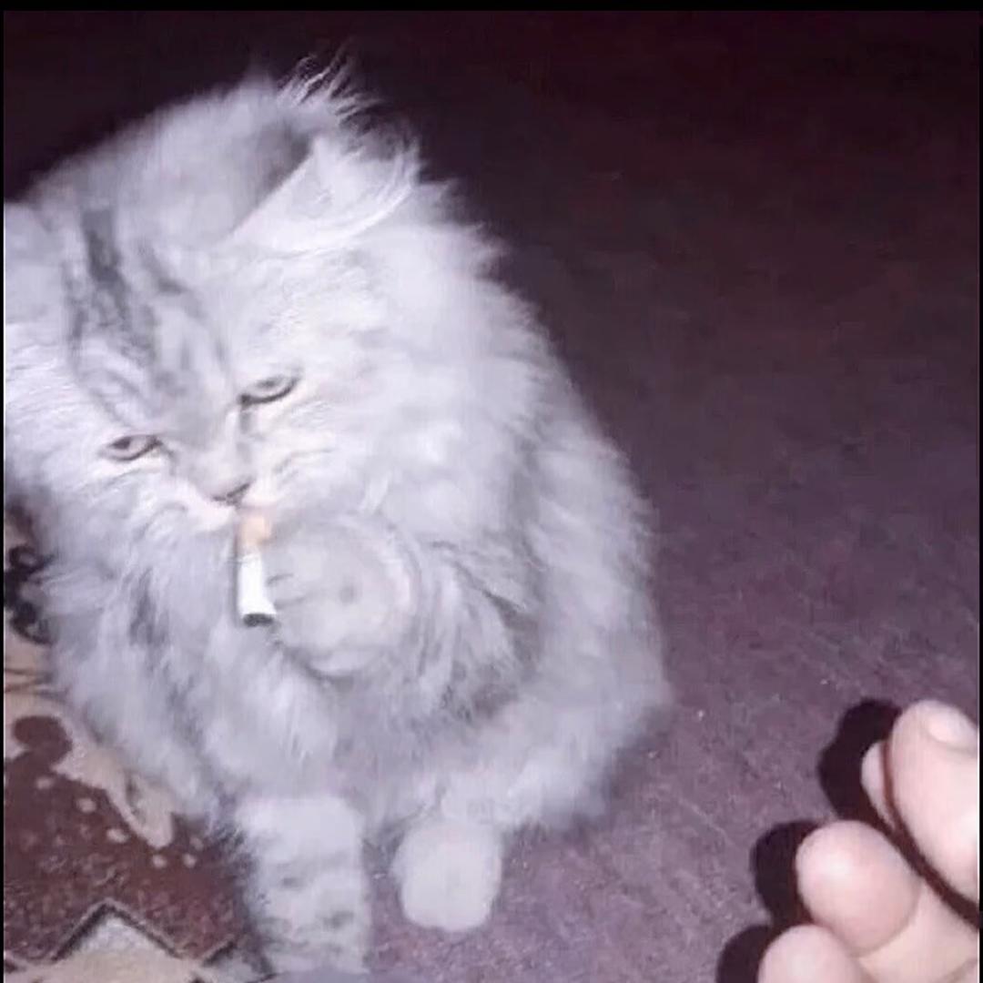 无锡的雨