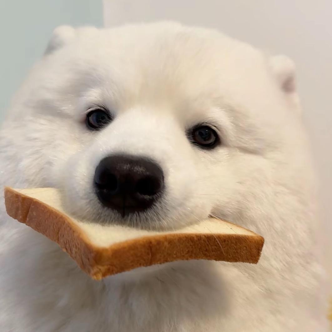 别再围着我转了