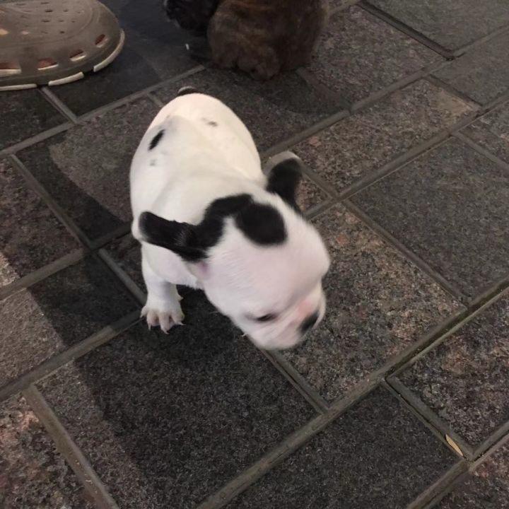 下次不相遇