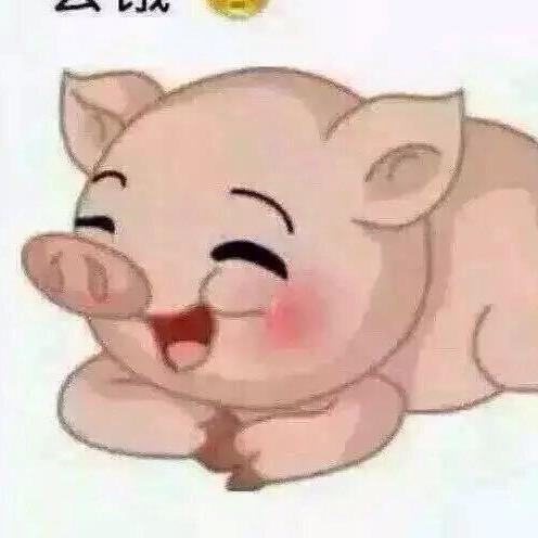 小许XYT
