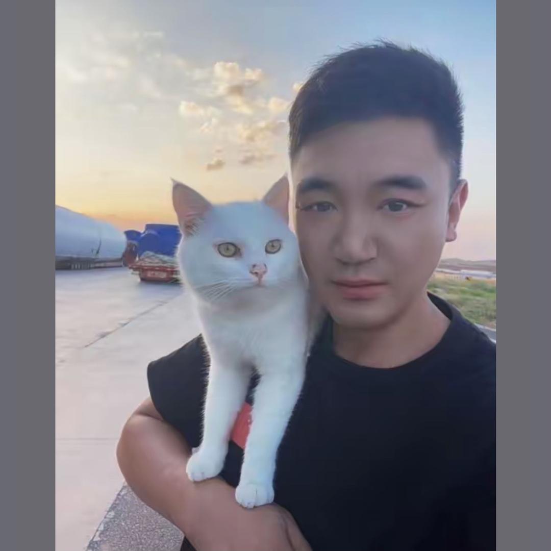 卡车猫公主