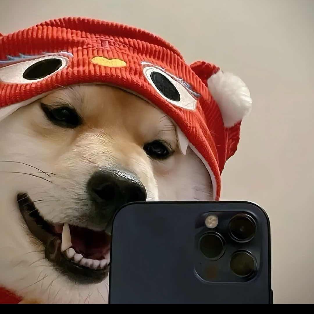 …….