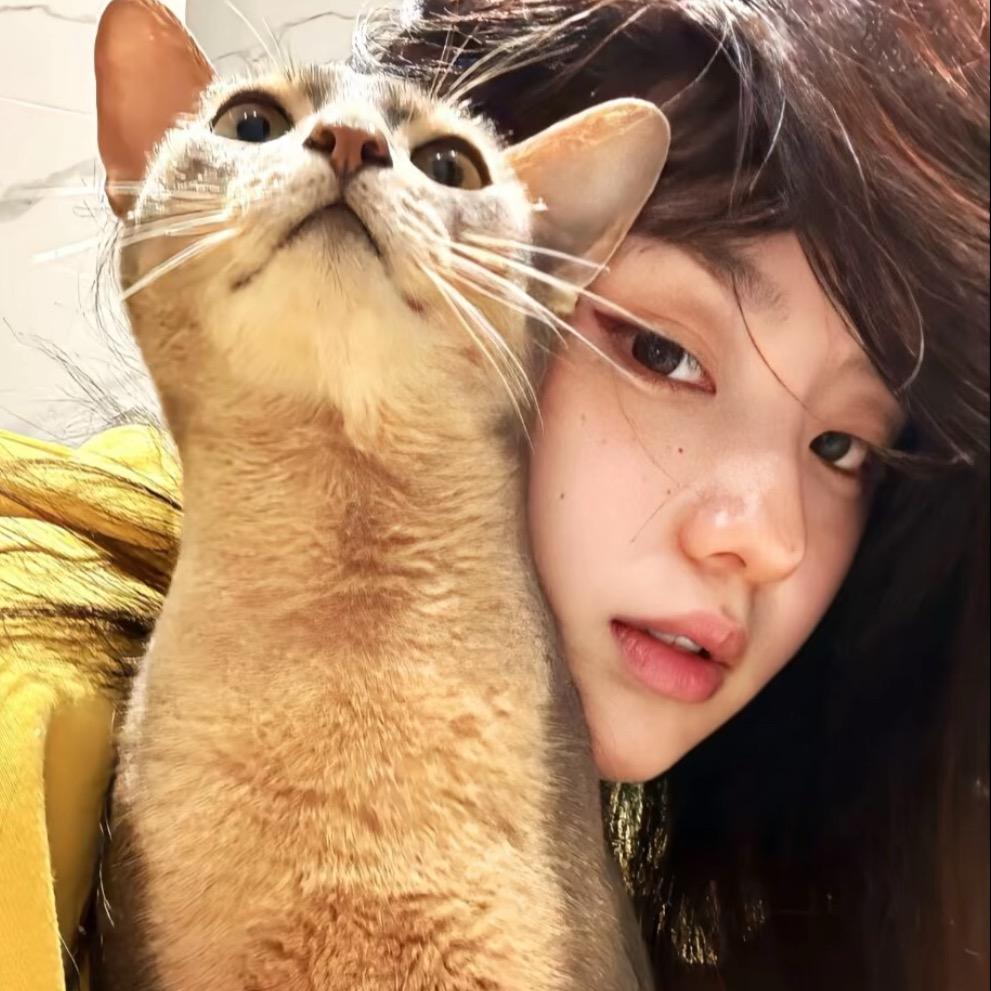 猫咪钓鱼🎣