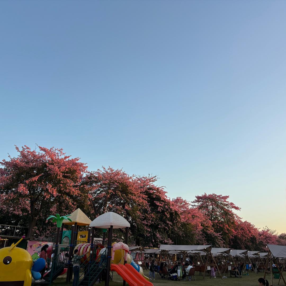 没烦恼
