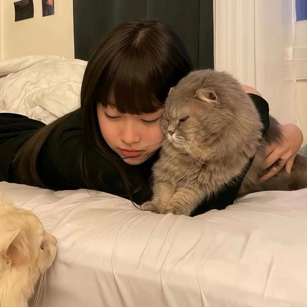 永远明天见.