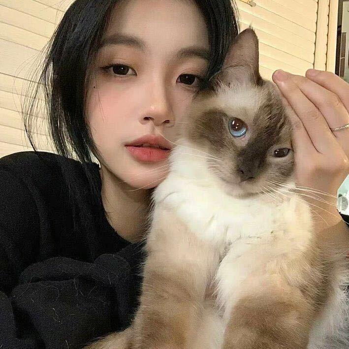 心动打烊啦🐳～