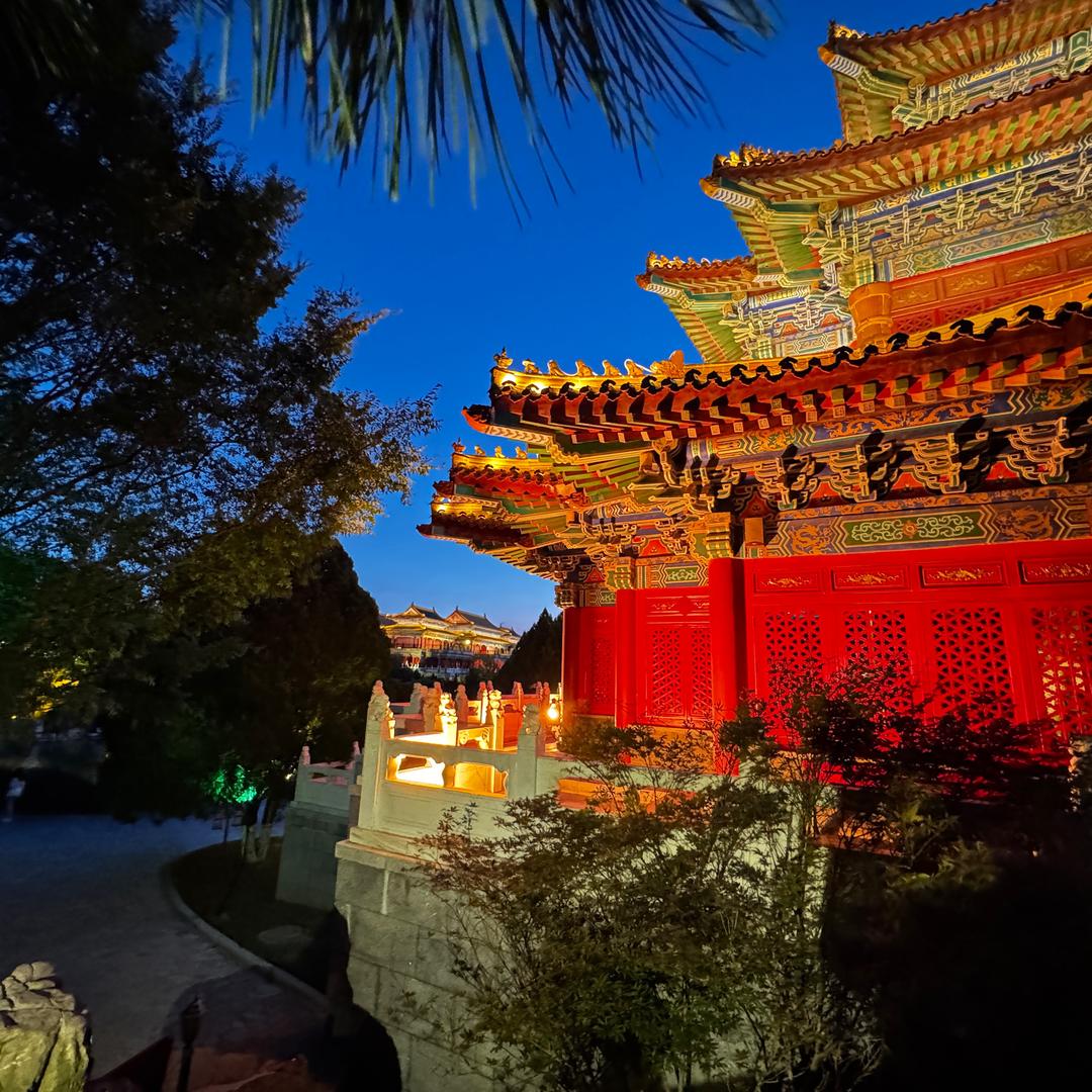 心怡水族(观赏鱼)