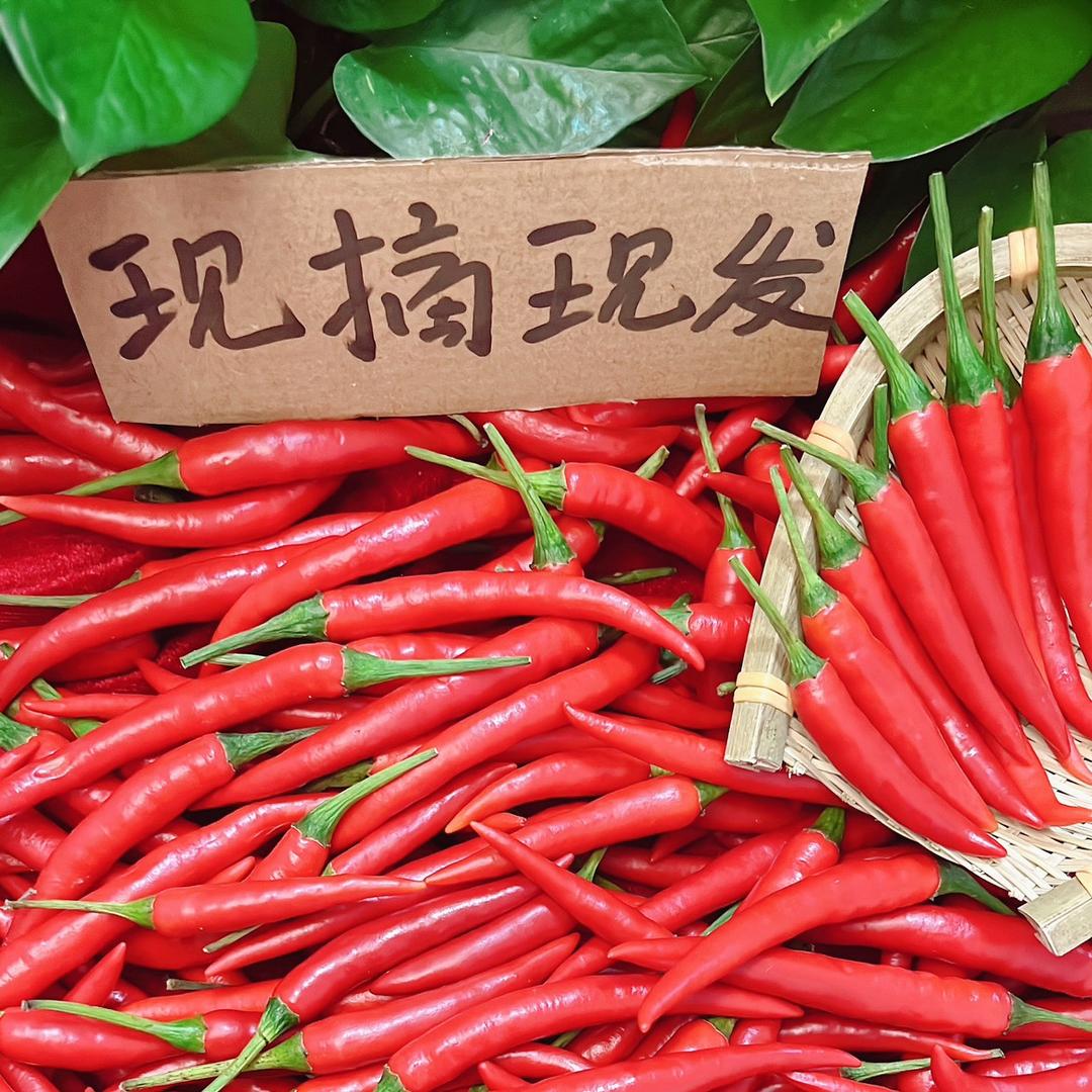 小琴（小米椒产地直发）