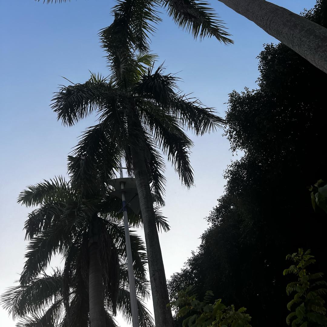 🦋ꦿ໊余生᭄🕊随心᭄