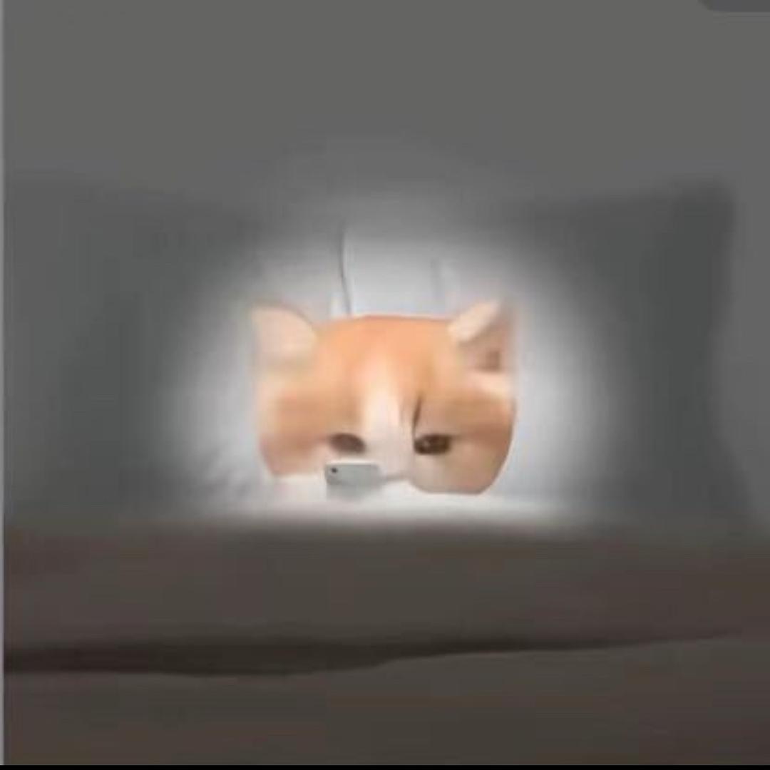 开学微💩