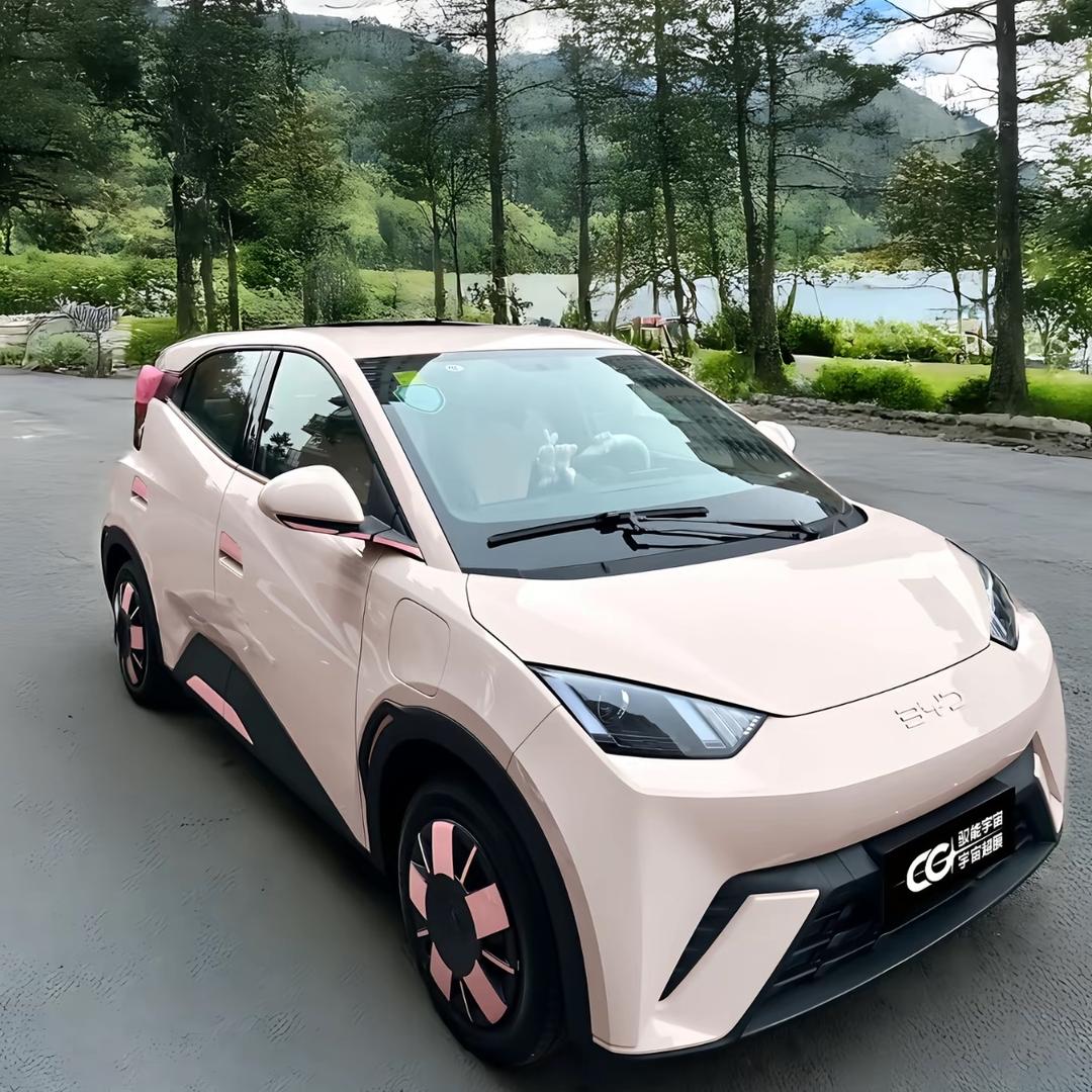 安安讲车