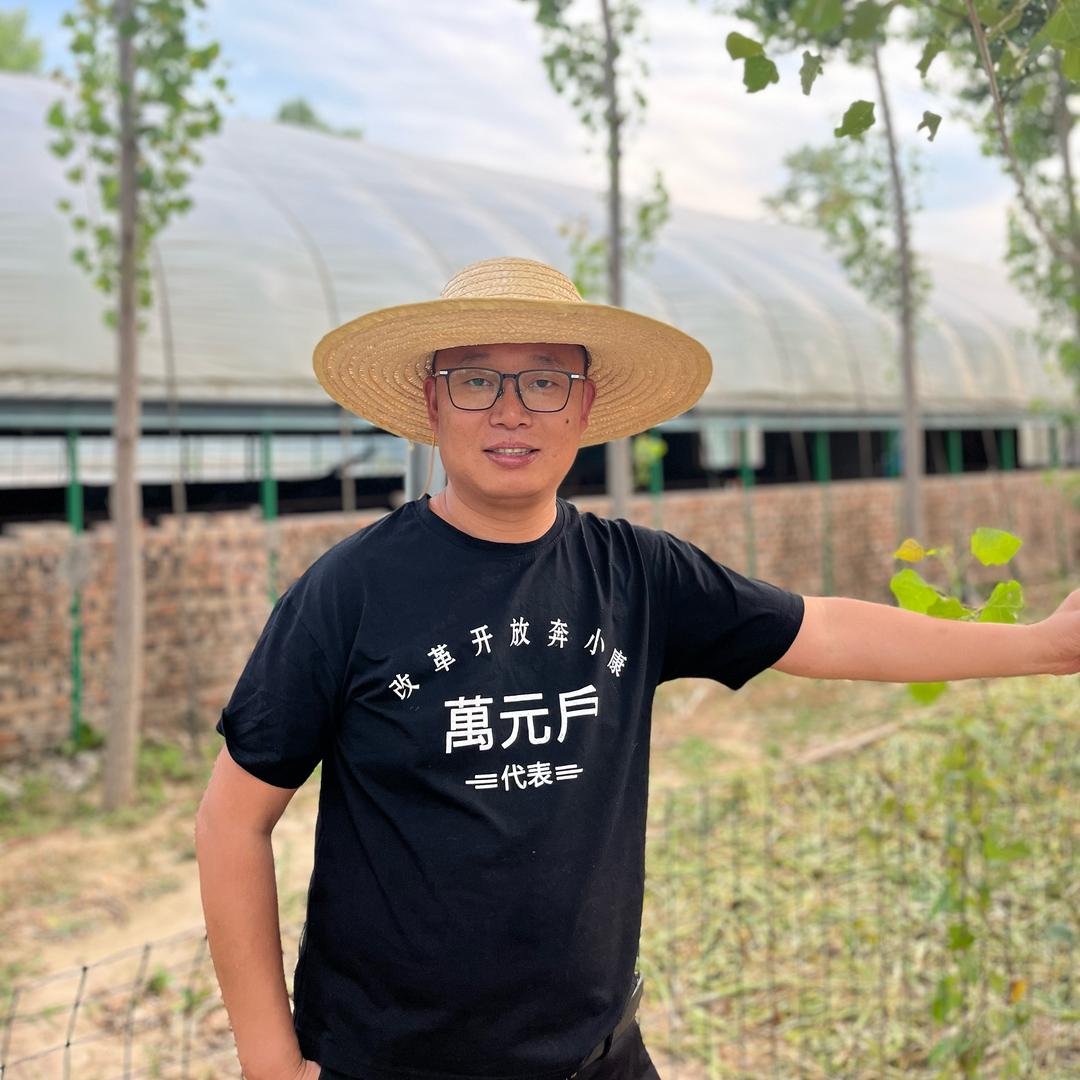 猪医阿建（客服号）