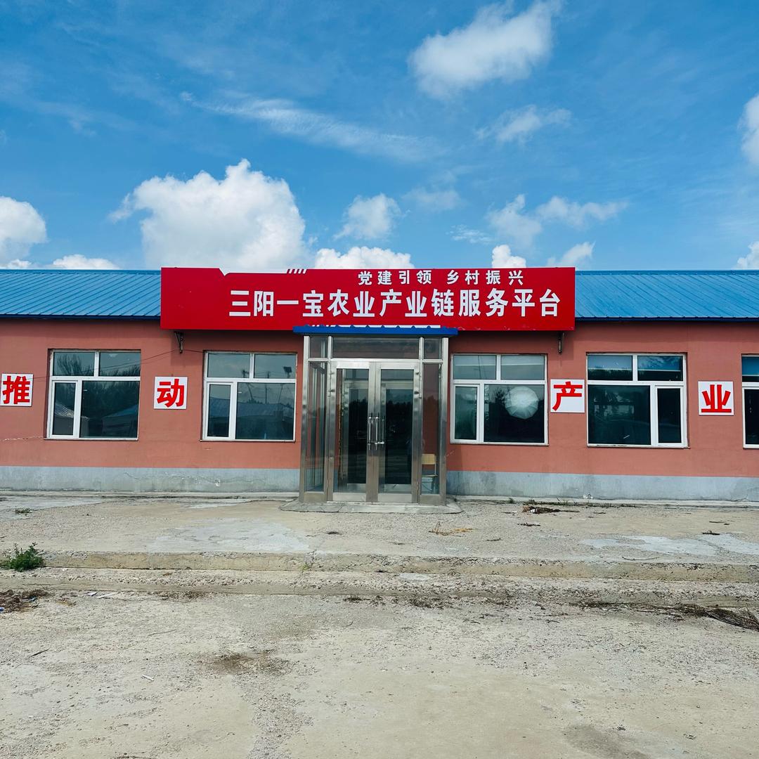 三阳一宝农业产业链平台