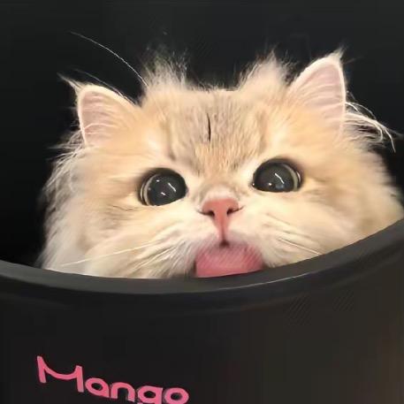我家的猫很可爱 -7^