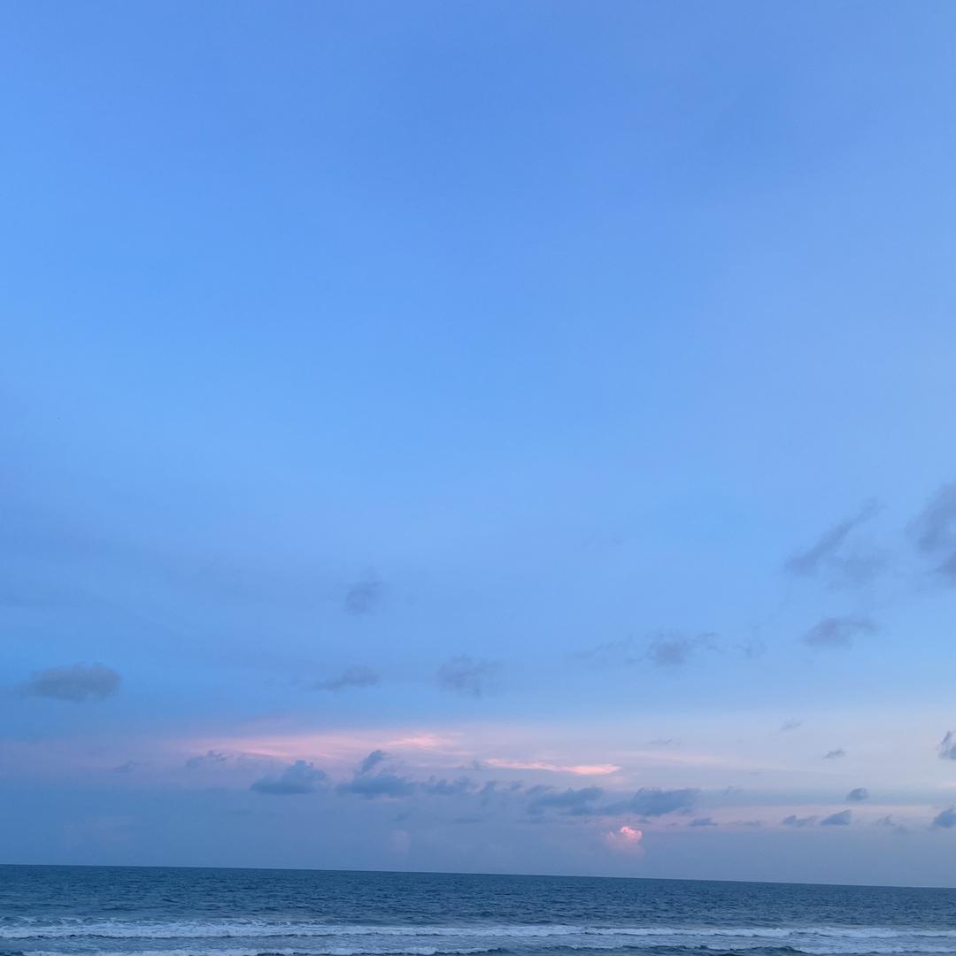 가벼운그리움