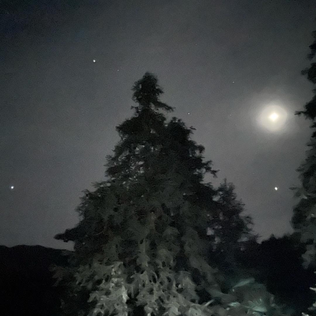 雅萝踩背馆-阿思