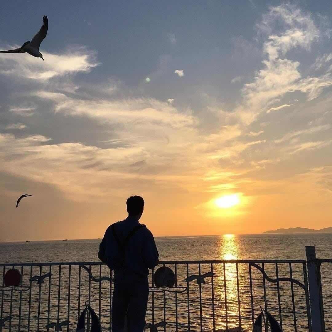 纵使爱成海.