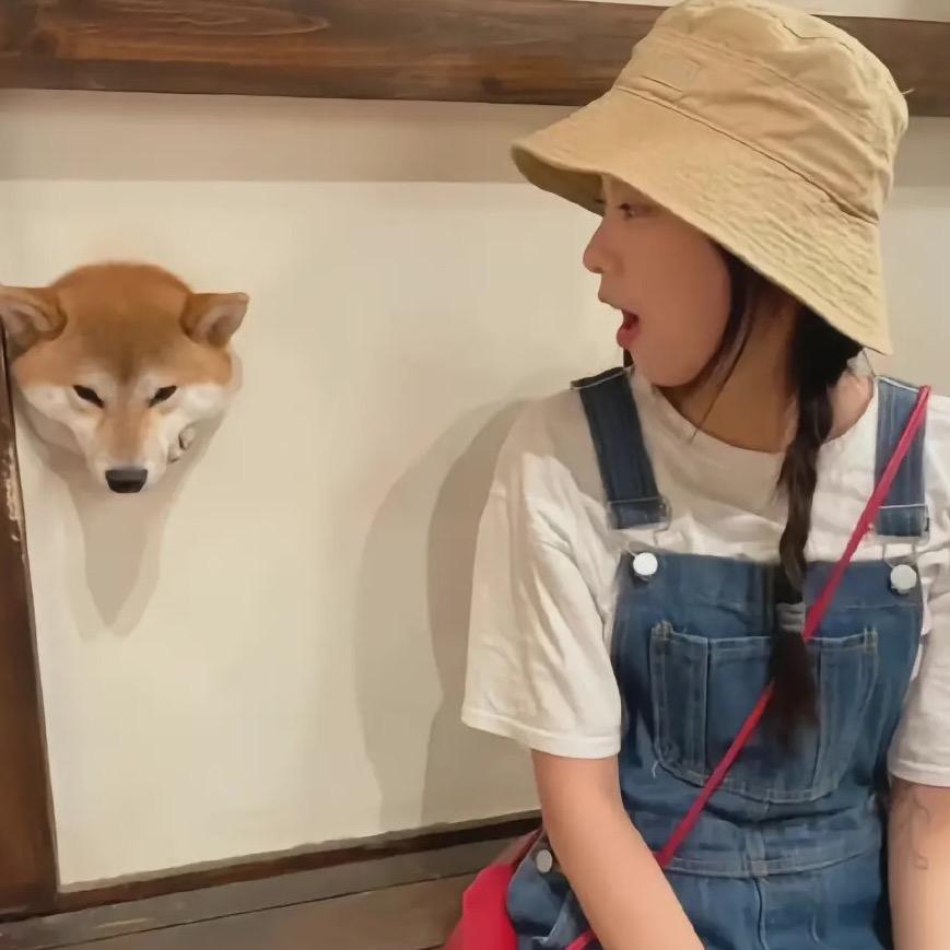 一条悠米