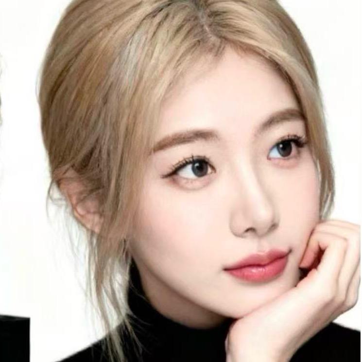 盈和国际物流-杨什么杨